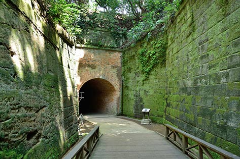 猿島