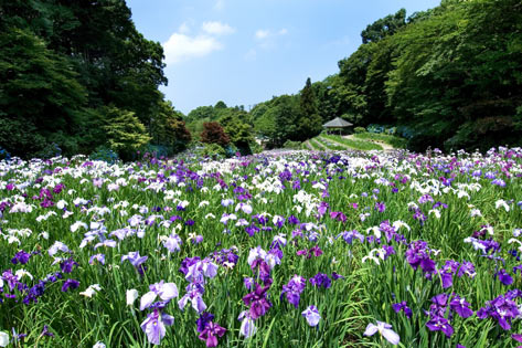 卯辰山公園