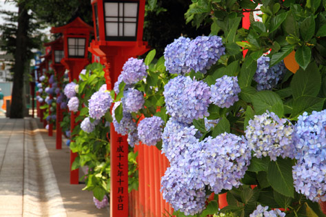 川越八幡宮