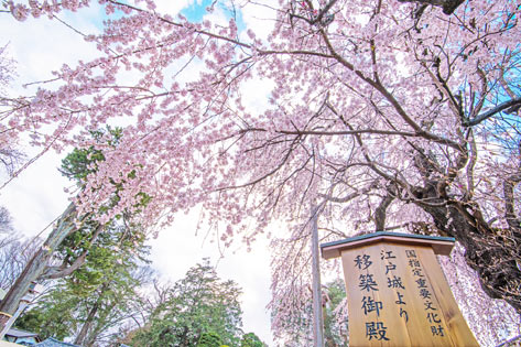 喜多院