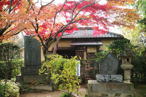 中院