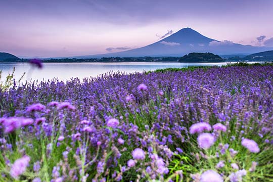 山梨 河口湖観光スポット26選 モデルコース 絶景や温泉も 楽天トラベル