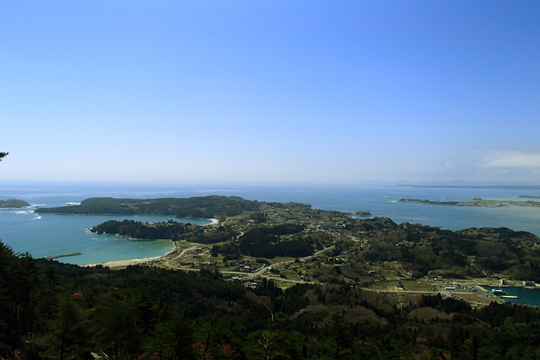 亀山