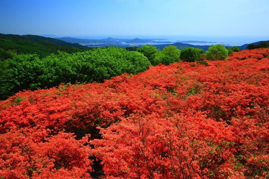 徳仙丈山