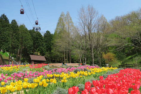 神戸布引ハーブ園/ロープウェイ