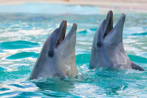 神戸市立須磨海浜水族園