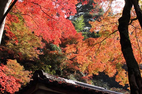 瑞宝寺公園