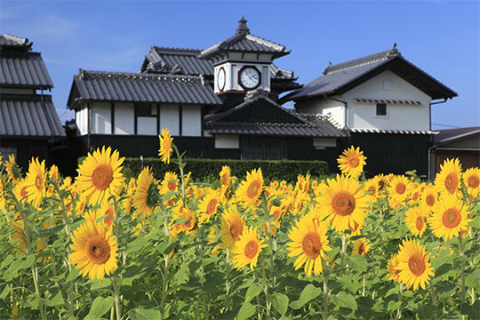 野良時計