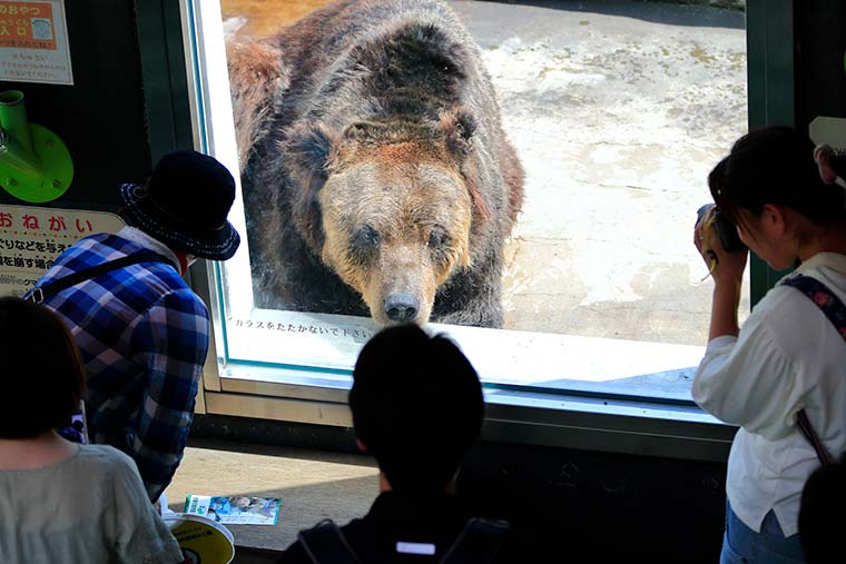 釧路市動物園