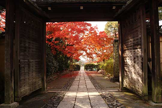 きぬかけの路