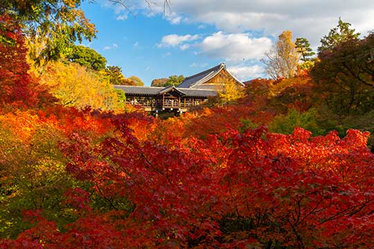 東福寺