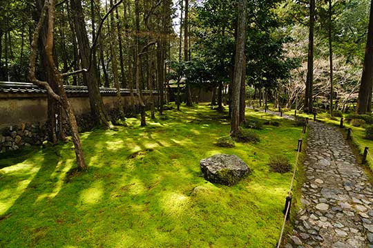 西芳寺(苔寺)