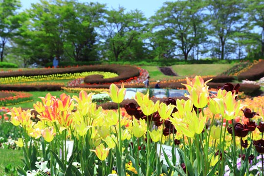 国営みちのく杜の湖畔公園