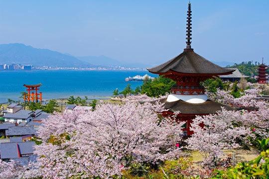多宝塔
