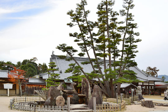 大願寺