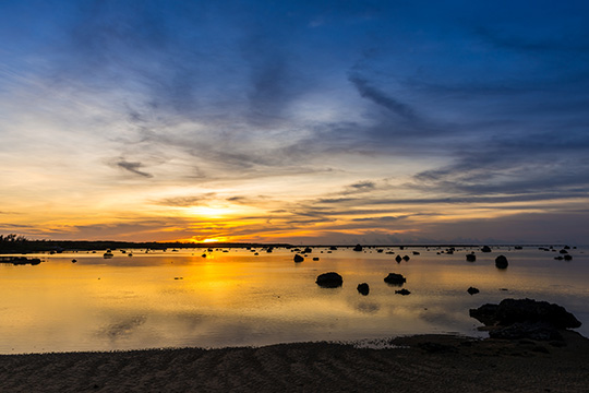 佐和田の浜