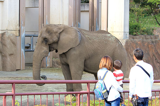 盛岡市動物公園