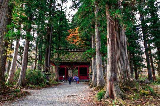 戸隠神社