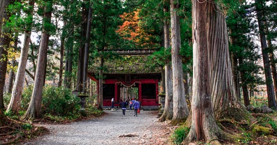 戸隠神社