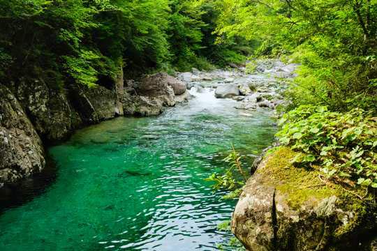 現地スタッフ厳選 長野県のおすすめ観光スポットbest25 楽天トラベル