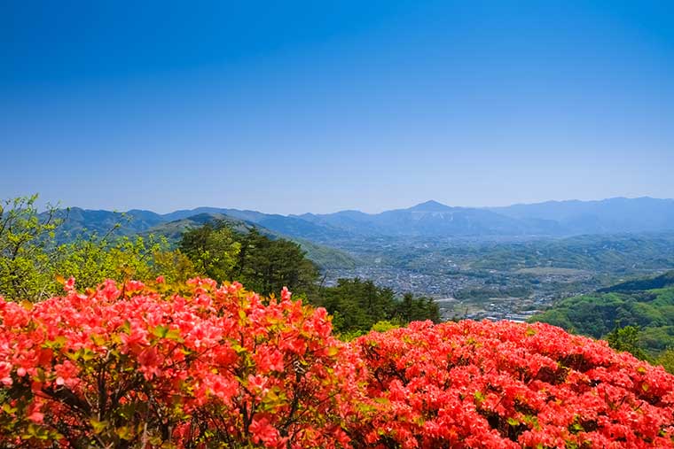 宝登山