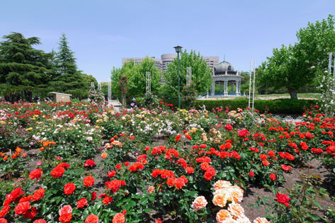 鶴舞公園