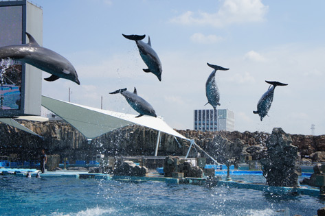 名古屋港水族館