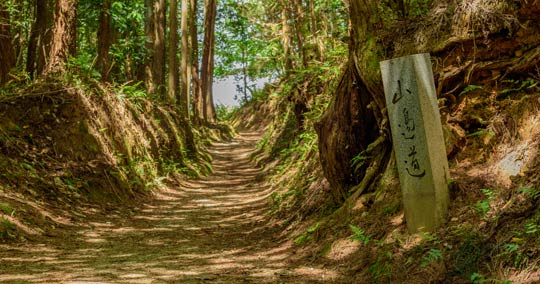 山の辺の道