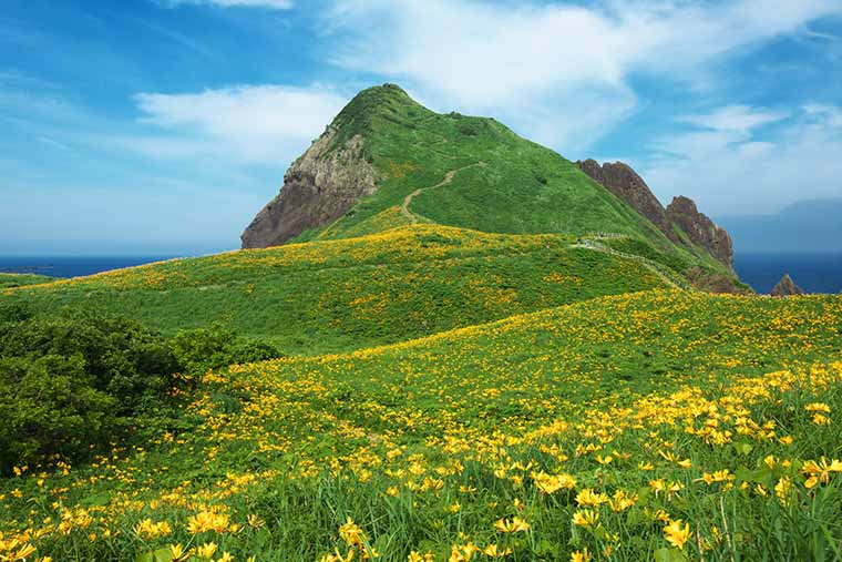 大野亀