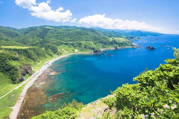 大野亀