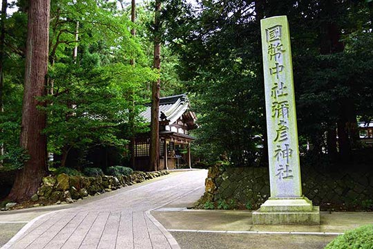 弥彦神社