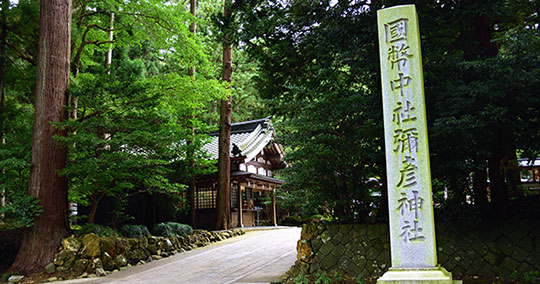 弥彦神社