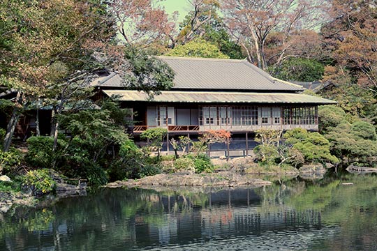 三島市立公園 楽寿園