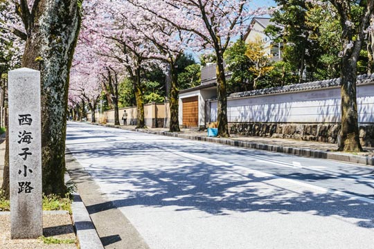 西海子小路