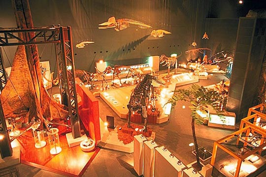 神奈川県立生命の星・地球博物館