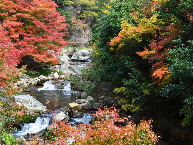 豪渓(ごうけい)