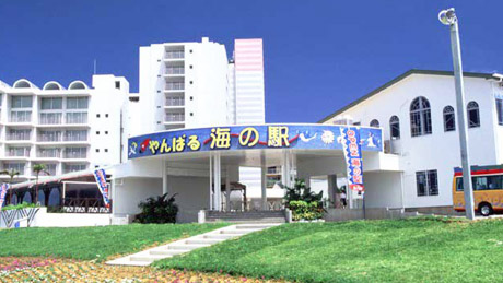 やんばる海の駅