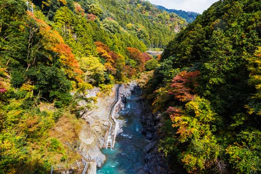 白丸ダム魚道
