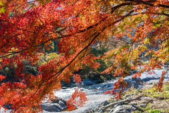 御岳渓谷