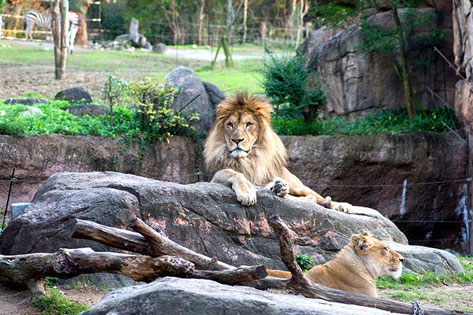 天王寺動物園