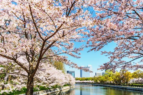 大阪城公園