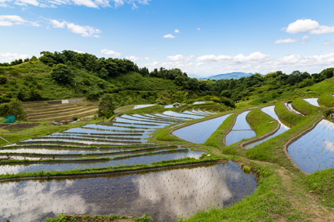 下赤阪の棚田