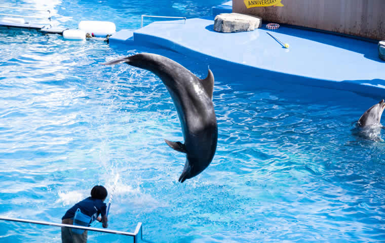 仙台うみの杜水族館