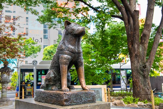 ハチ公像