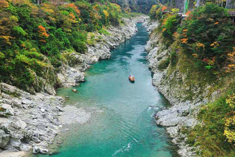 大歩危峡・小歩危峡