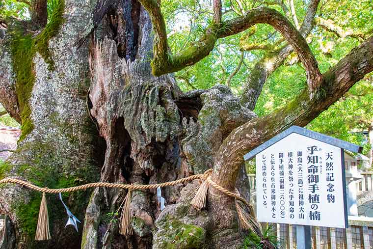 現地スタッフ厳選 瀬戸内しまなみ海道のおすすめ観光 グルメ 楽天トラベル