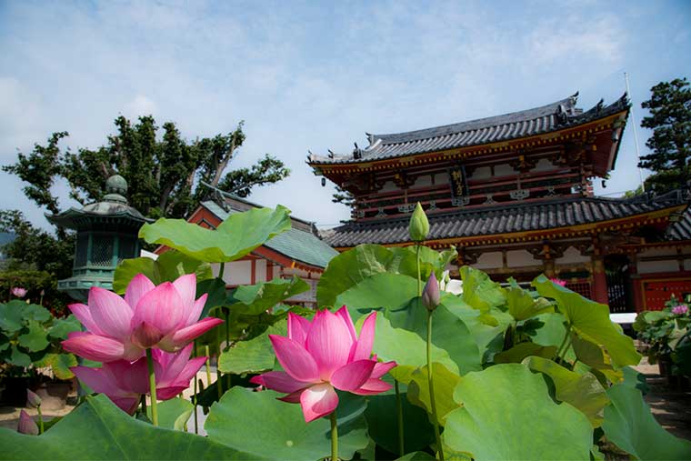 耕三寺