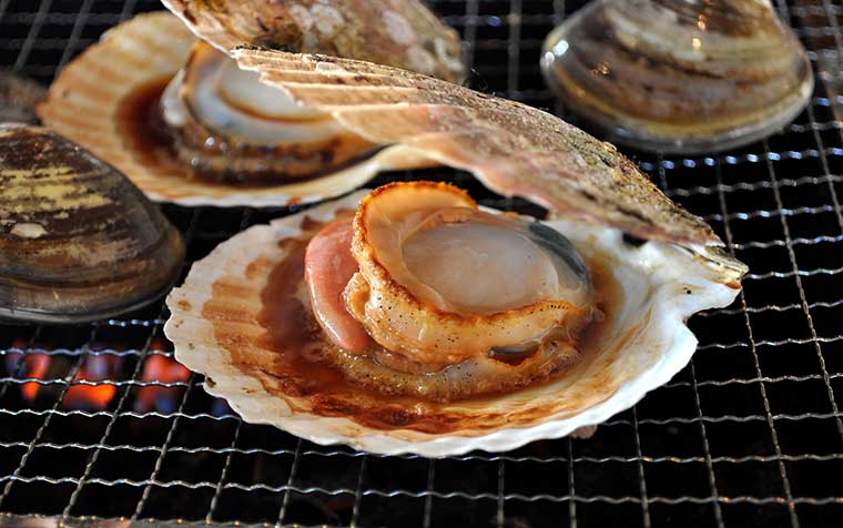 南紀白浜 とれとれ市場