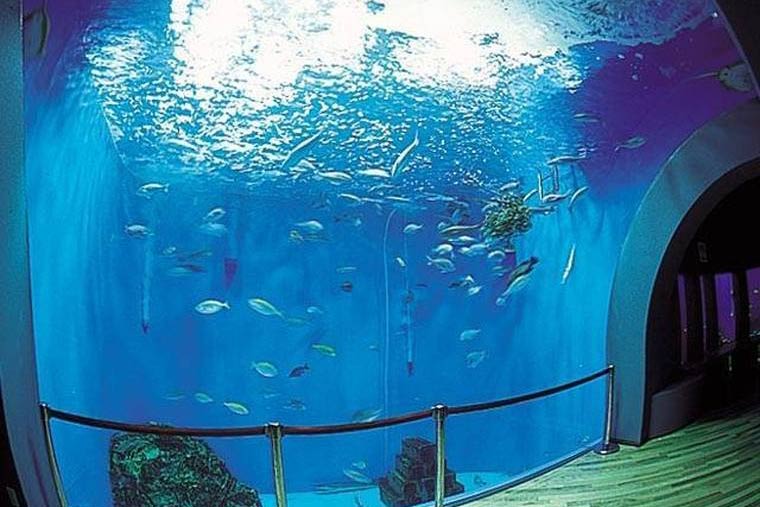浜名湖体験学習施設ウォット