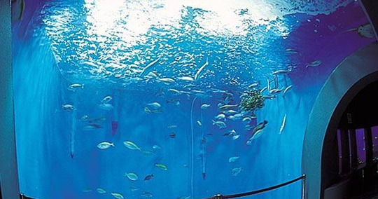 浜名湖体験学習施設ウォット